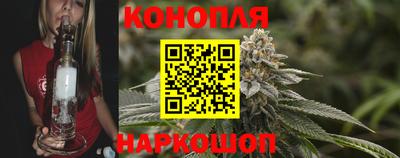 стафф Можга