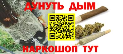 стафф Можга