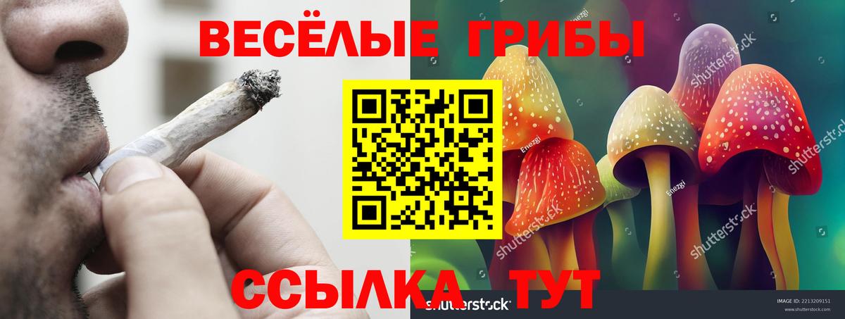Рузаевка  купить наркотик  Вход с VPN  Псилоцибиновые грибы Magic Shrooms 